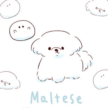 マルチーズ モッツァレラチーズ