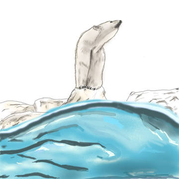 白熊