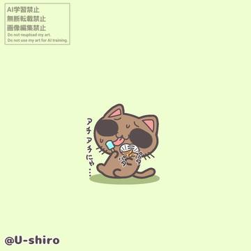 今日も暑かった猫さん