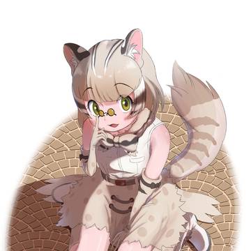 サビイロネコ
