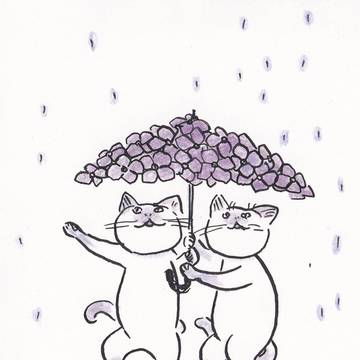紫陽花の傘