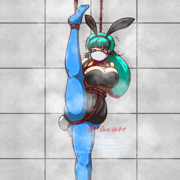 バニーブルマ緊縛