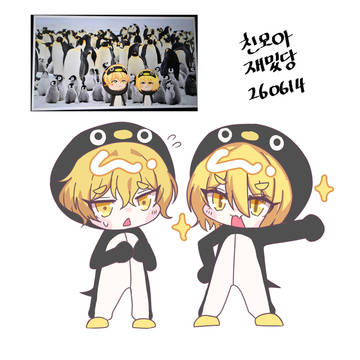 펭귄싱돈