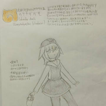 カササギガモ
