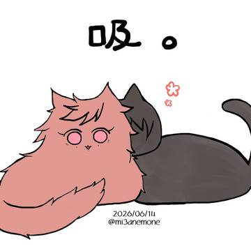 無京🐱·単体むだのさん(3枚)