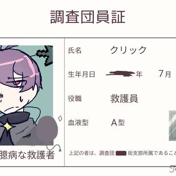 調査団員証