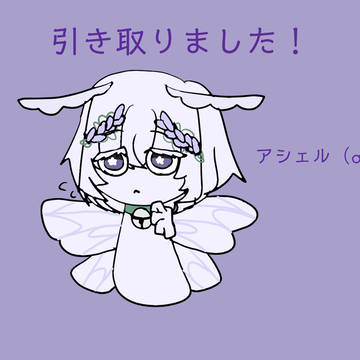 引き取り報告!!!