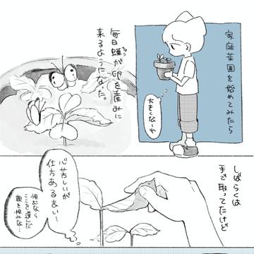 アラシちゃん観察記0日目