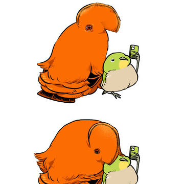 イワドリさん