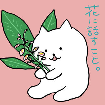 きいて～。猫Listen up~. Cat