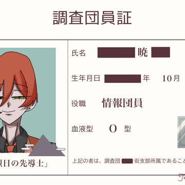 調査団員証