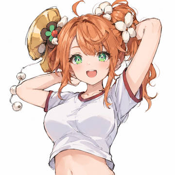 ブルマな継承者