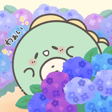 あじさいの季節だね✨