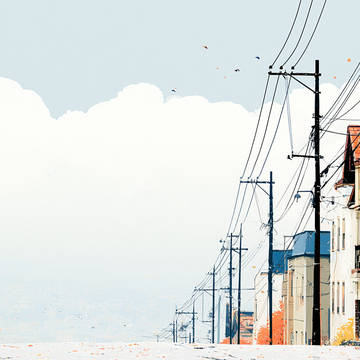 landscape84
