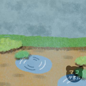 水たまり