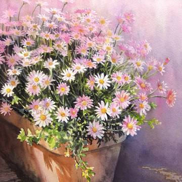 道端で咲く花