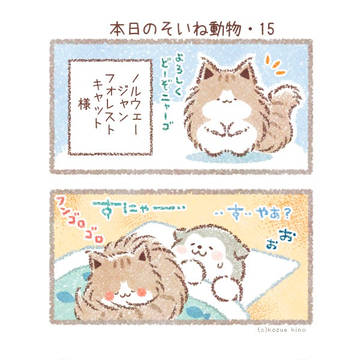 そいね動物＞ノルウェージャンフォレストキャット