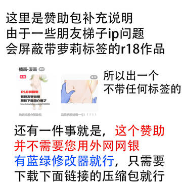 r18赞助补充说明
