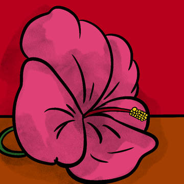July doodlechallenge 15 hibiscus