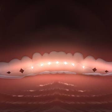 Zoe's maw 360 READ DESCRIPTION