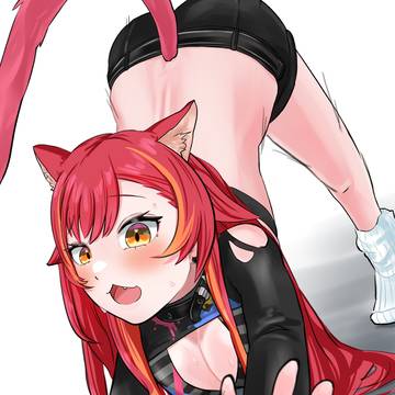 猫の習慣