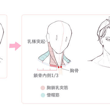 胸鎖乳突筋