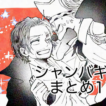 シャンバギまとめ11