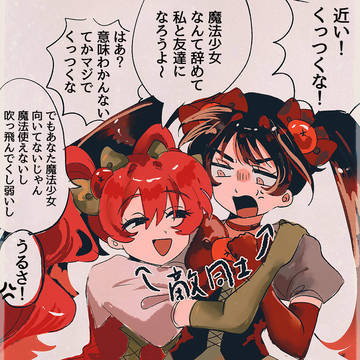 二人の魔法少女の最初と最後