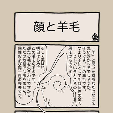 顔と羊毛