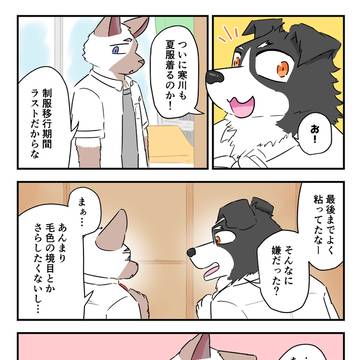 魅惑のツートンカラー