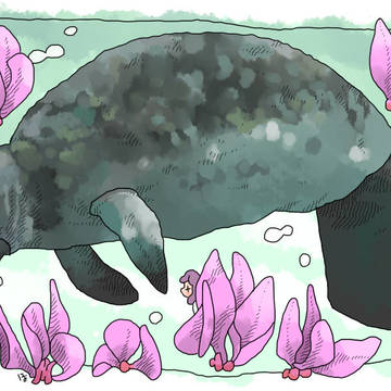にごれごれなじ