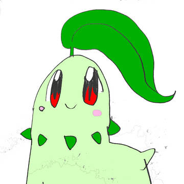 チコリータ