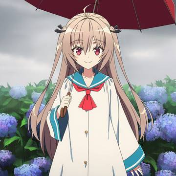雨でのアトリ
