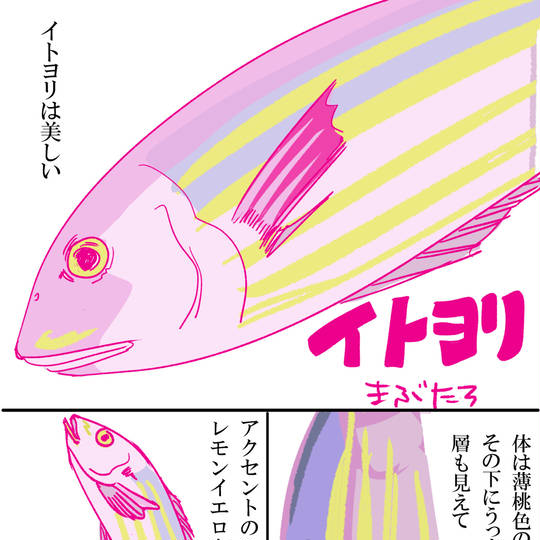 イトヨリ
