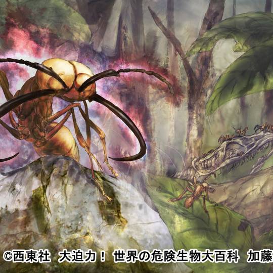 お仕事宣伝　大迫力！ 世界の危険生物大百科
