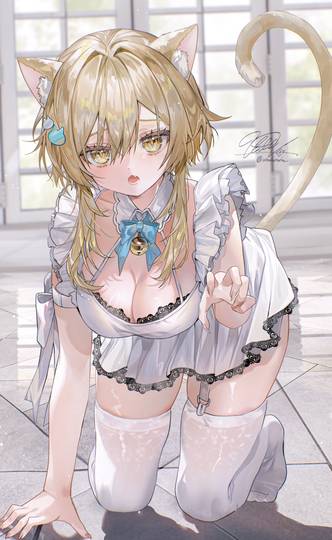 ネコﾁｬﾝ