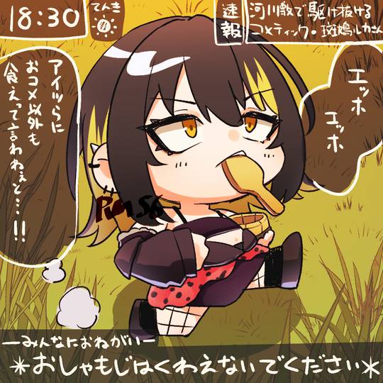 ｴｯﾎ　ｴｯﾎ