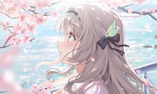 Cherry Blossoms