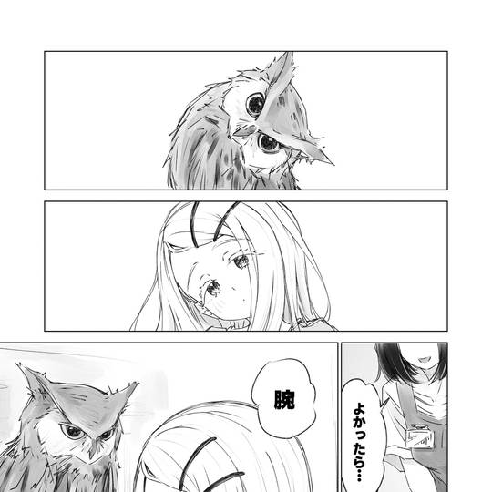 フクロウカフェ