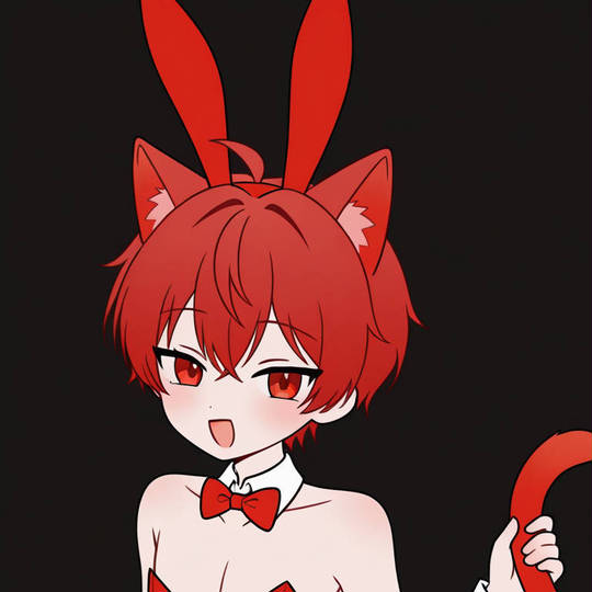 齋葉光 (兔男郎)