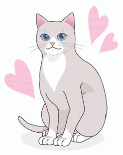 理想の猫