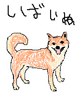 柴