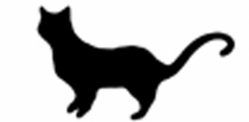 黒猫