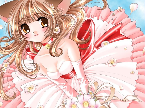 ひらひらねこみみたん