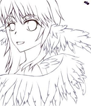 線画・フェザー
