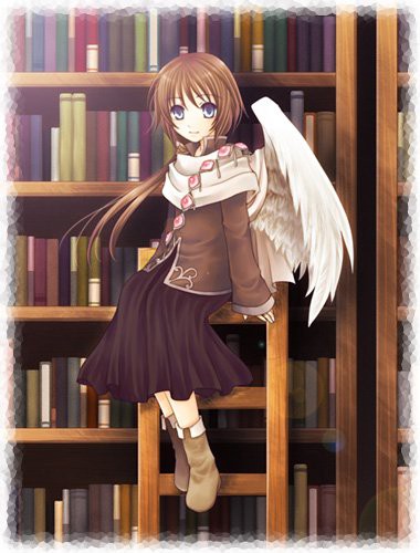 書架の上の主