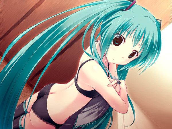 初音ミクが可愛すぎるので描いてみた４