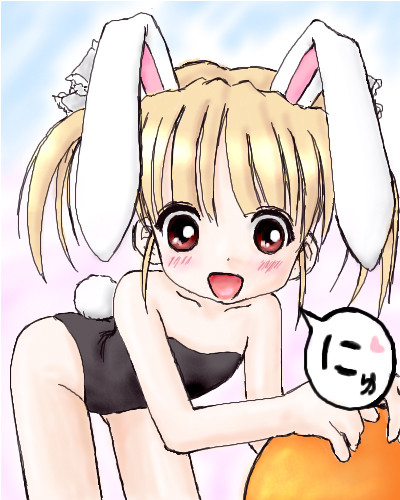 過去絵・バニーにゅたん