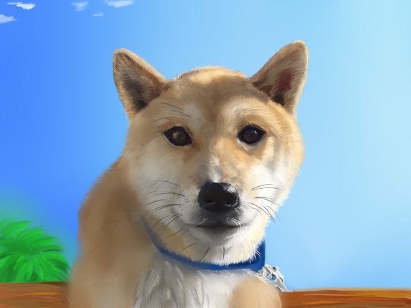今日の…
