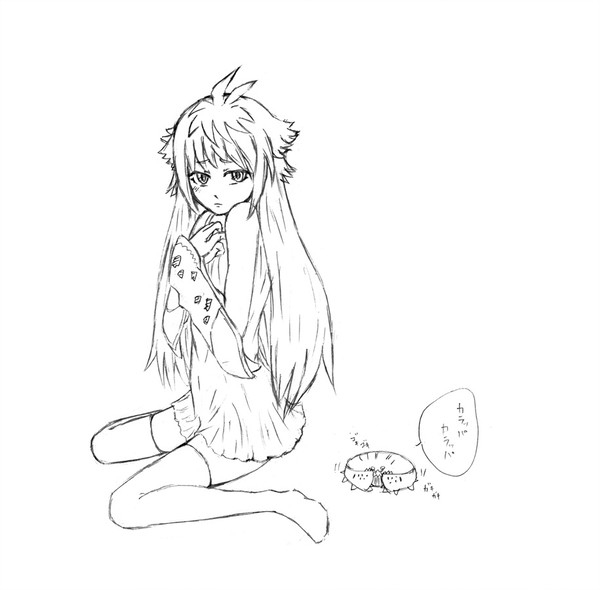 トラフカラッパっ娘
